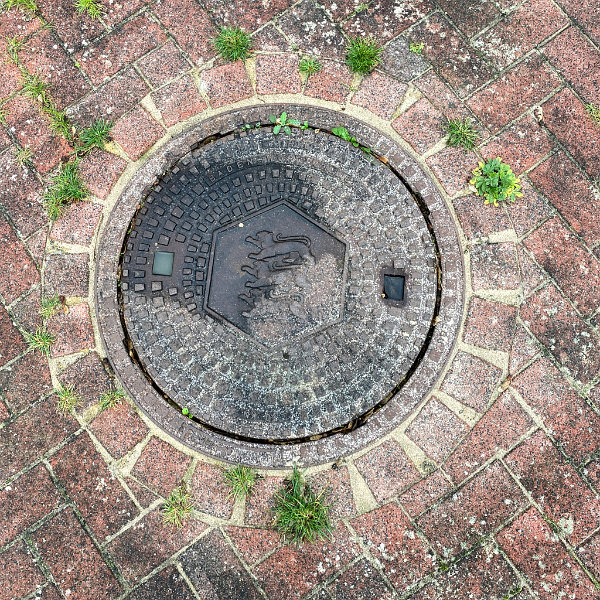 Landeswappen Baden-Württemberg, Deutschland (DE)